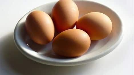 Eggs are great for overall brain function